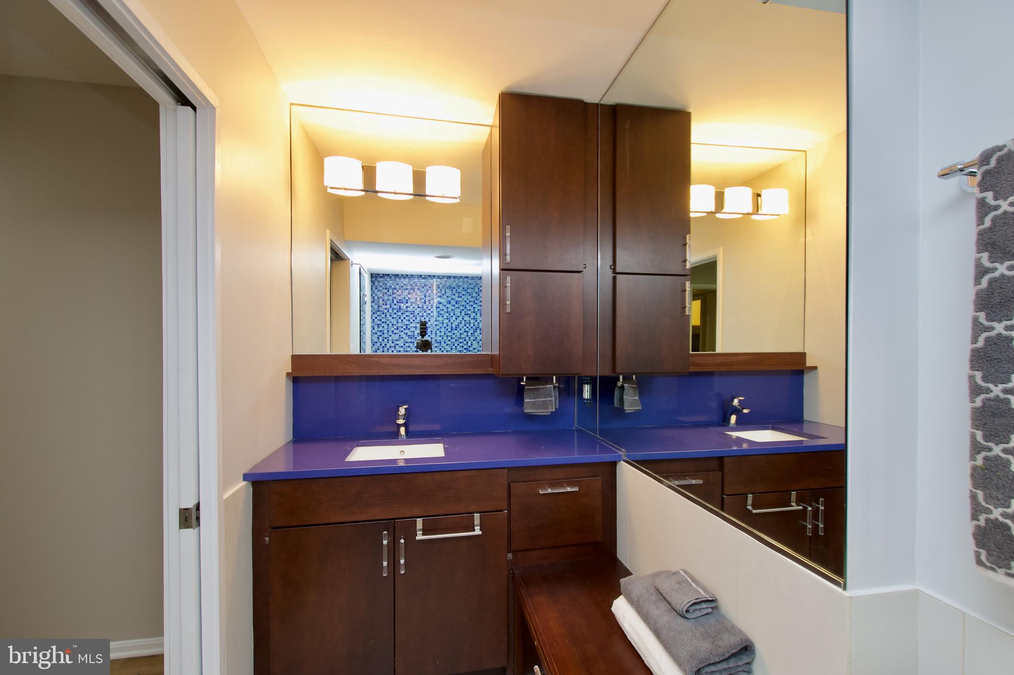 5902 Mt Eagle Drive, Unit 316 Alexandria, VA 22303 - Photo 15 of 46 Primary bath features loads of storage