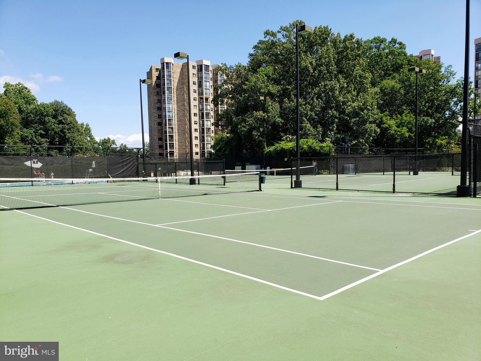 5902 Mt Eagle Drive, Unit 316 Alexandria, VA 22303 - Photo 36 of 46 Tennis/pickleball to be recovered this spring