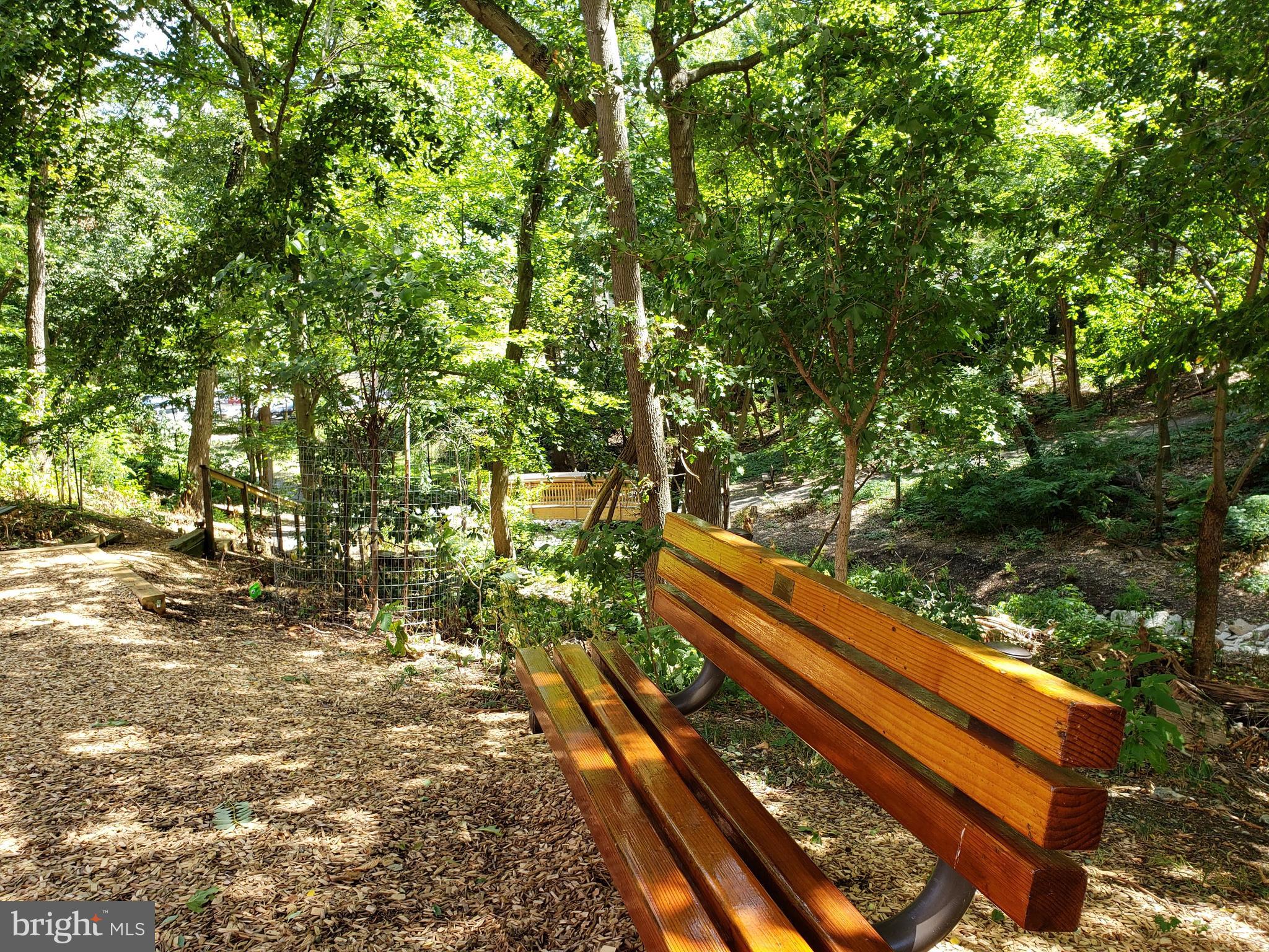 5902 Mt Eagle Drive, Unit 316 Alexandria, VA 22303 - Photo 42 of 46 35 wooded acres to explore