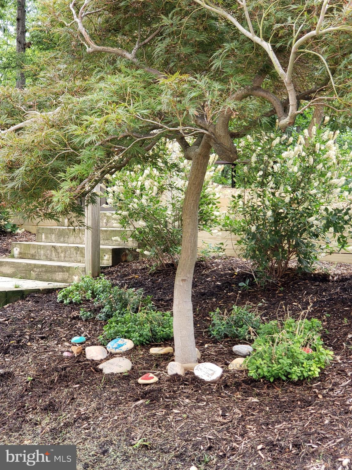 5902 Mt Eagle Drive, Unit 316 Alexandria, VA 22303 - Photo 43 of 46