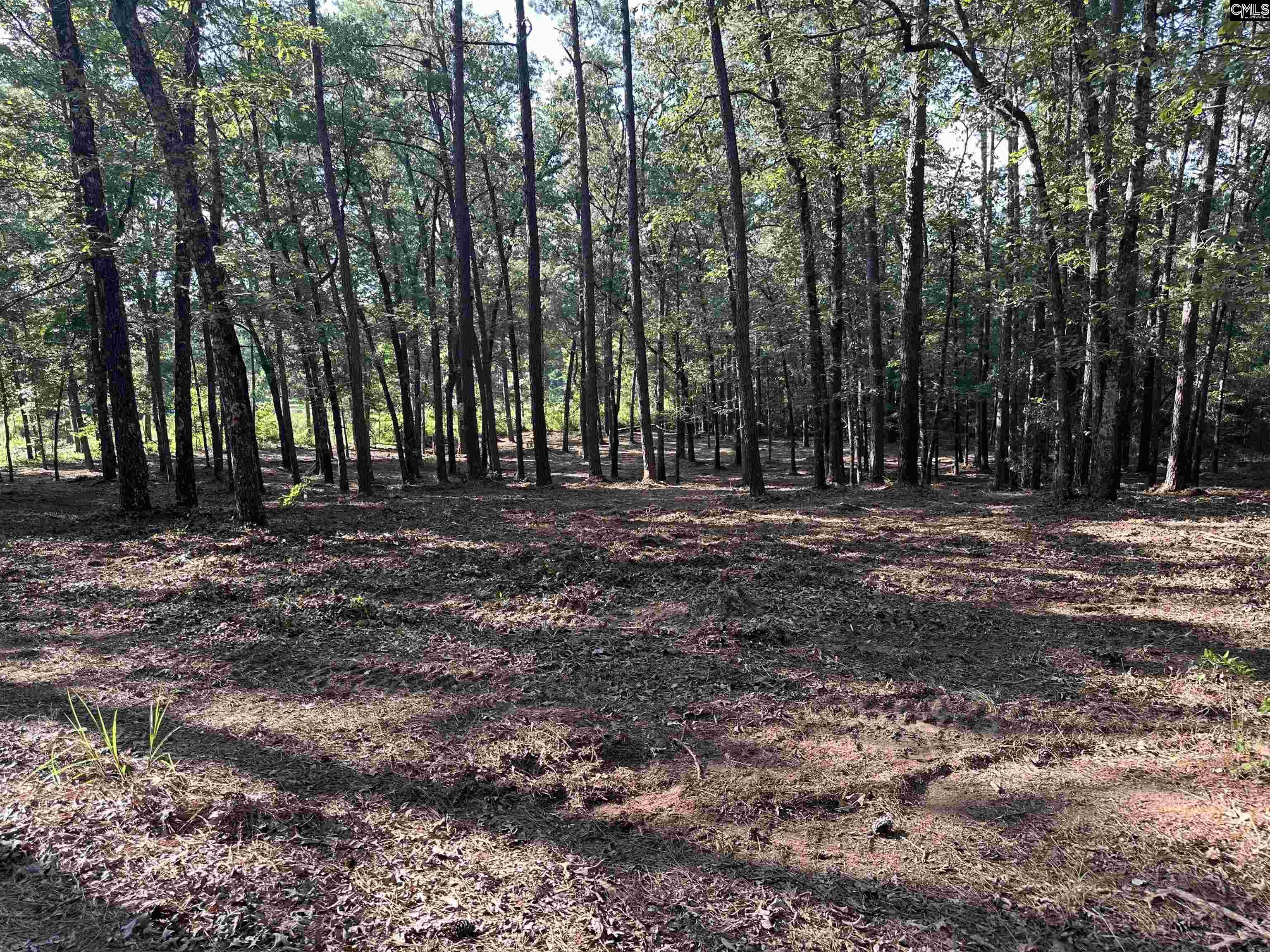 Lot 39 Edisto Lake Road Wagener, SC 29164 - Photo 4 of 11