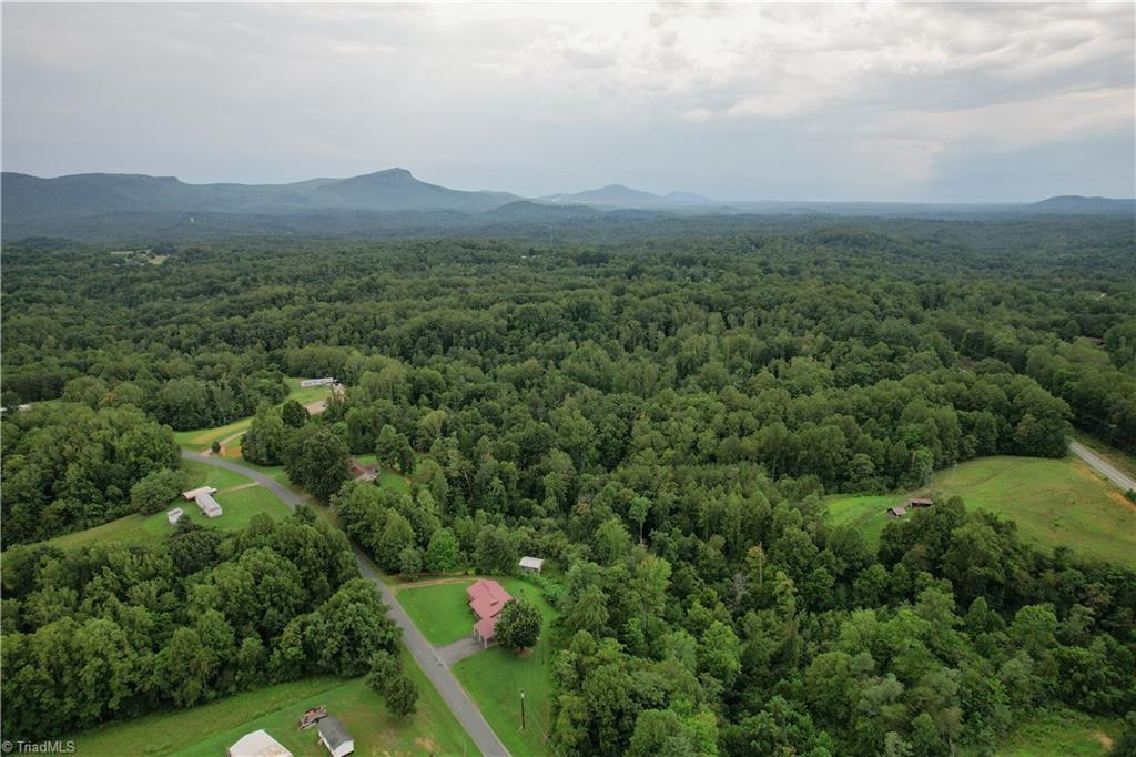 1106 Bob Mabe Road Danbury, NC 27016 - Photo 24 of 35 Gallery Image 24