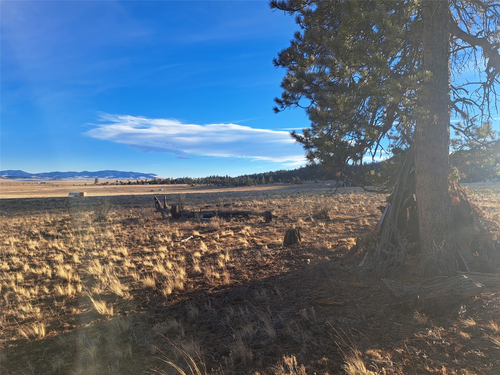 186 Boulder Road Hartsel, CO 80449 - Photo 18 of 33 Gallery Image 18