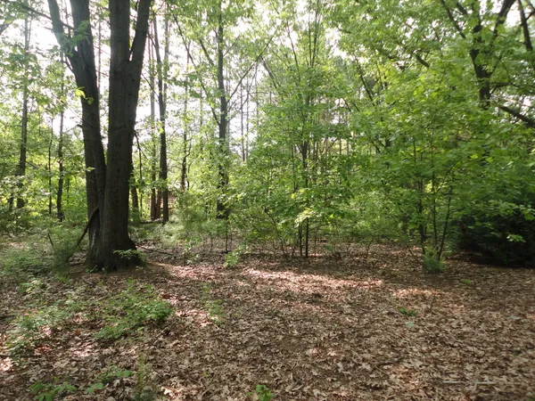 $175,000 | 1920 South 15th Street, Niles, MI 49120