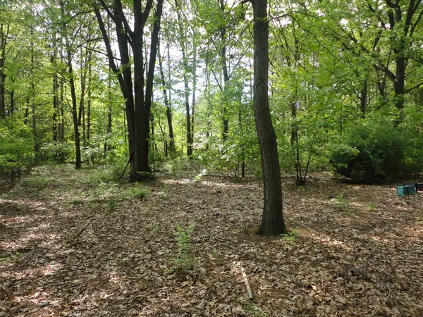 $175,000 | 1920 South 15th Street, Niles, MI 49120