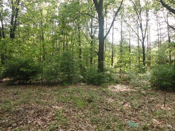 $175,000 | 1920 South 15th Street, Niles, MI 49120