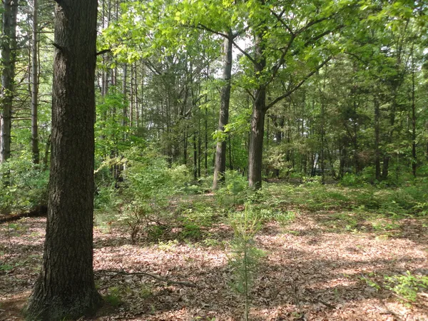 $175,000 | 1920 South 15th Street, Niles, MI 49120