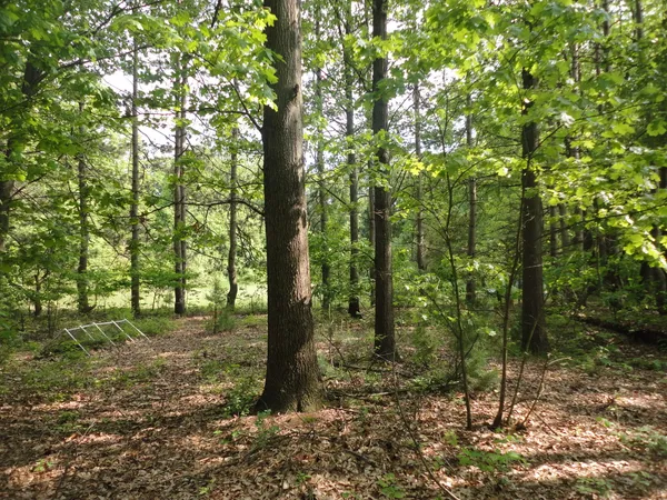 $175,000 | 1920 South 15th Street, Niles, MI 49120