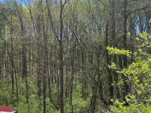 914 Lullwater Road Chattanooga, TN 37415 - Photo 2 of 5 Gallery Image 2