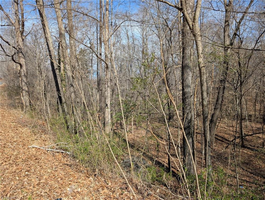 0 Browers Chapel Road Asheboro, NC 27205 - Photo 2 of 10