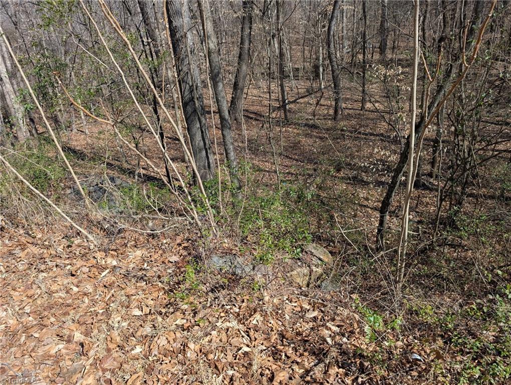 0 Browers Chapel Road Asheboro, NC 27205 - Photo 3 of 10
