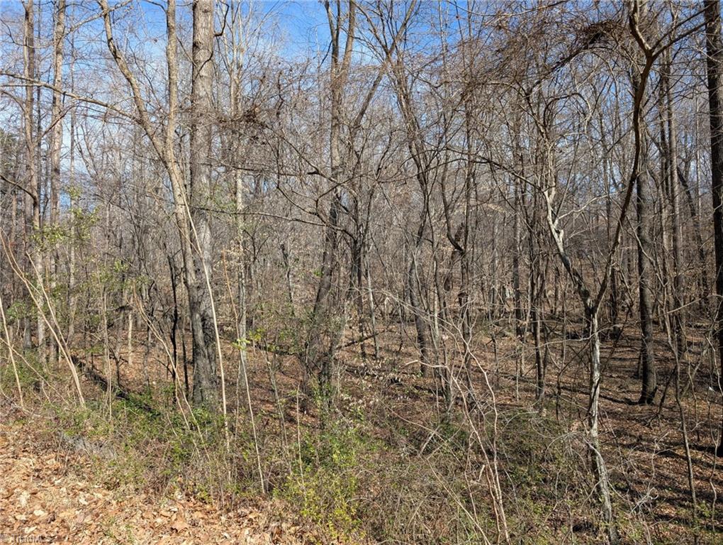0 Browers Chapel Road Asheboro, NC 27205 - Photo 4 of 10