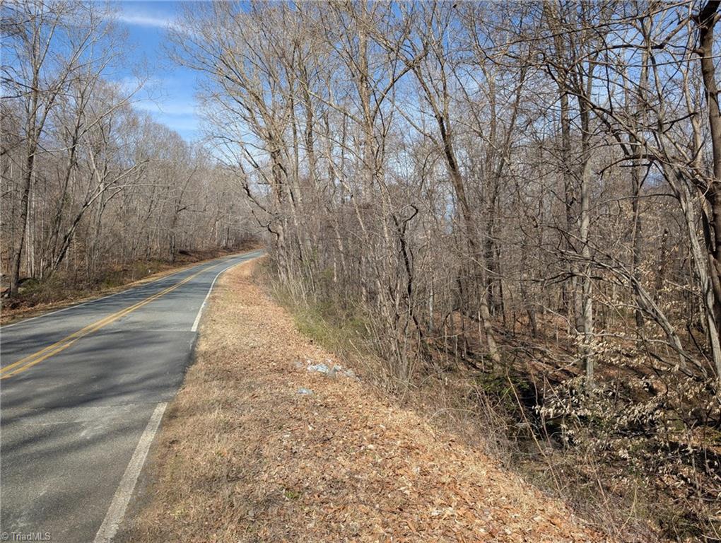 0 Browers Chapel Road Asheboro, NC 27205 - Photo 6 of 10