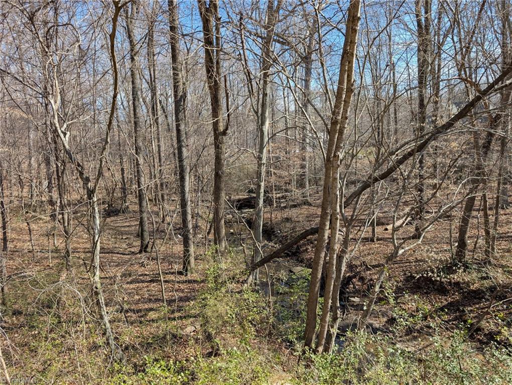 0 Browers Chapel Road Asheboro, NC 27205 - Photo 7 of 10