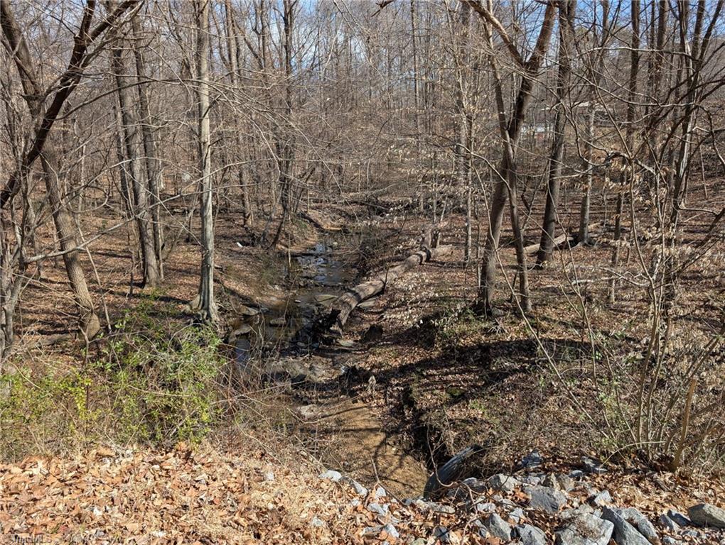 0 Browers Chapel Road Asheboro, NC 27205 - Photo 8 of 10