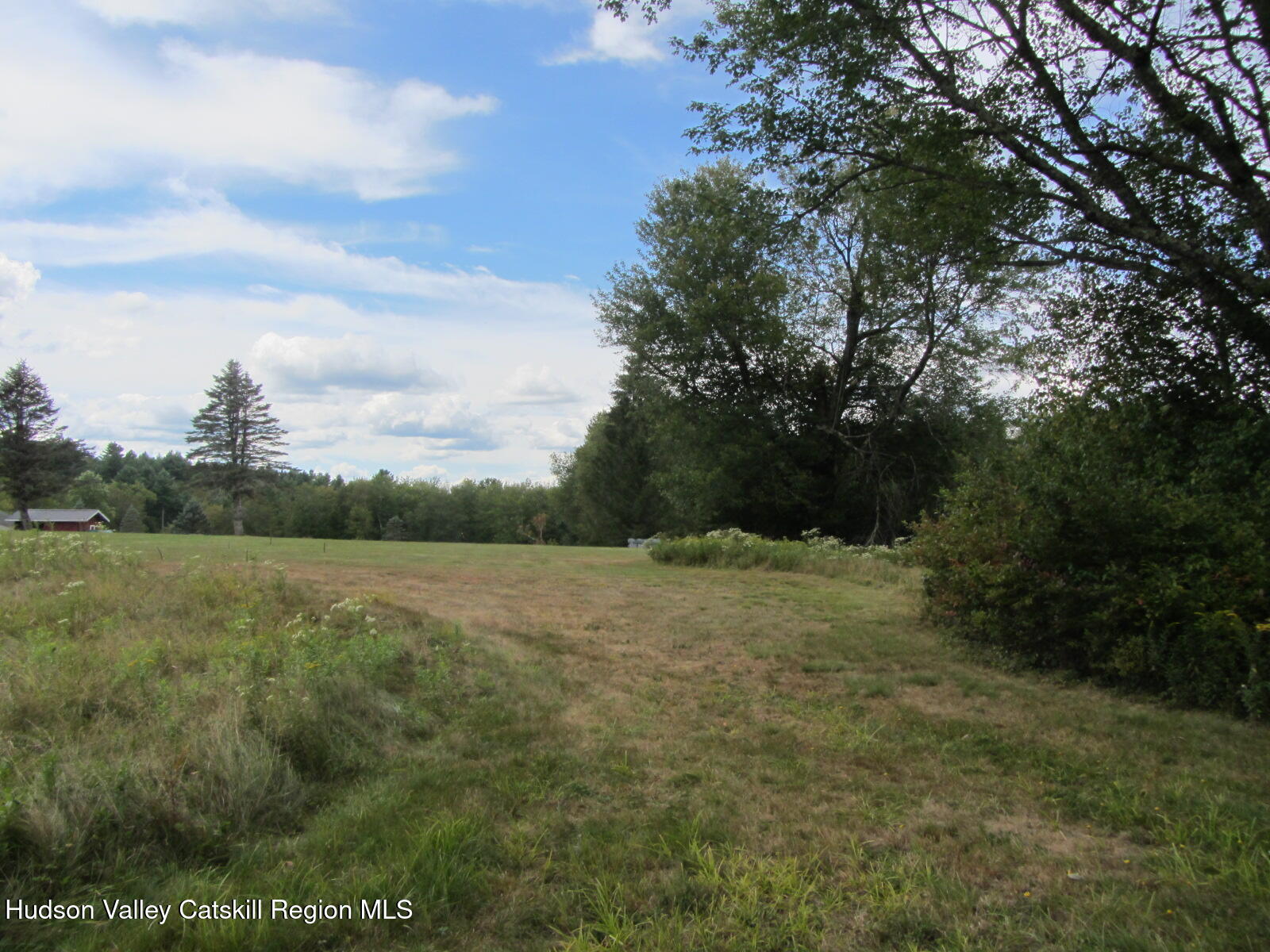 T/b/d Fraser Road Kiamesha Lake, NY 12751 - Photo 11 of 12 a view of outdoor space and yard