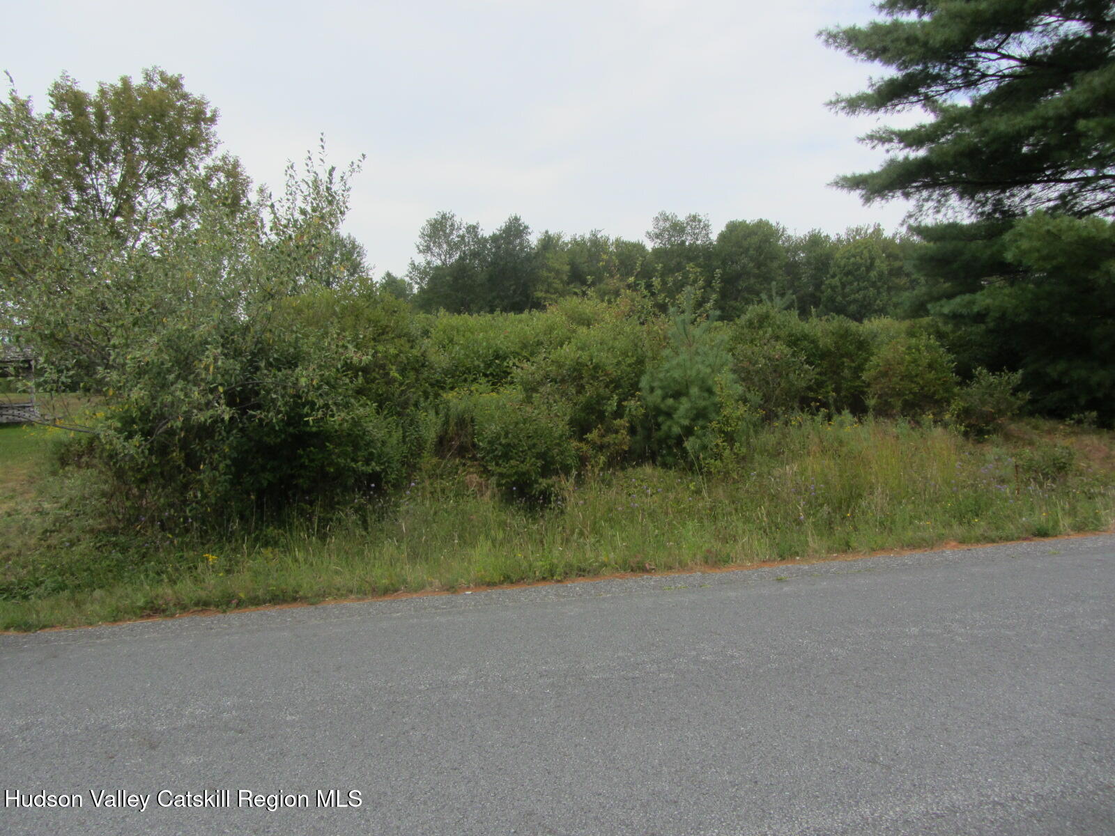T/b/d Fraser Road Kiamesha Lake, NY 12751 - Photo 12 of 12 a view of a lake with a yard and large trees