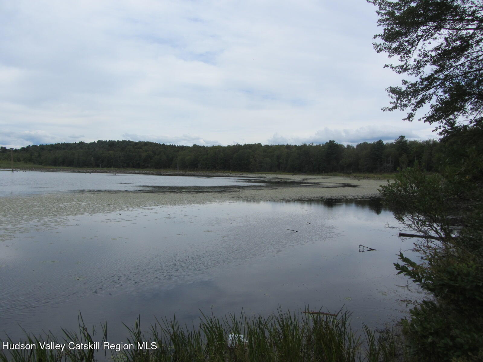 T/b/d Fraser Road Kiamesha Lake, NY 12751 - Photo 2 of 12