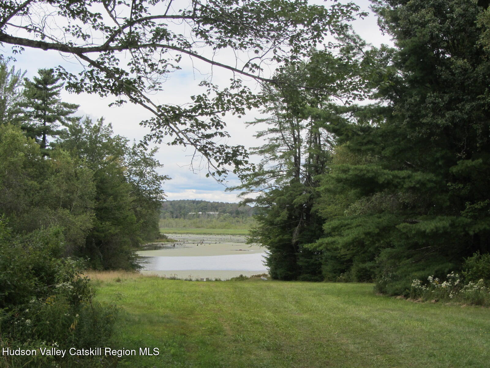 T/b/d Fraser Road Kiamesha Lake, NY 12751 - Photo 4 of 12 a view of yard with green space