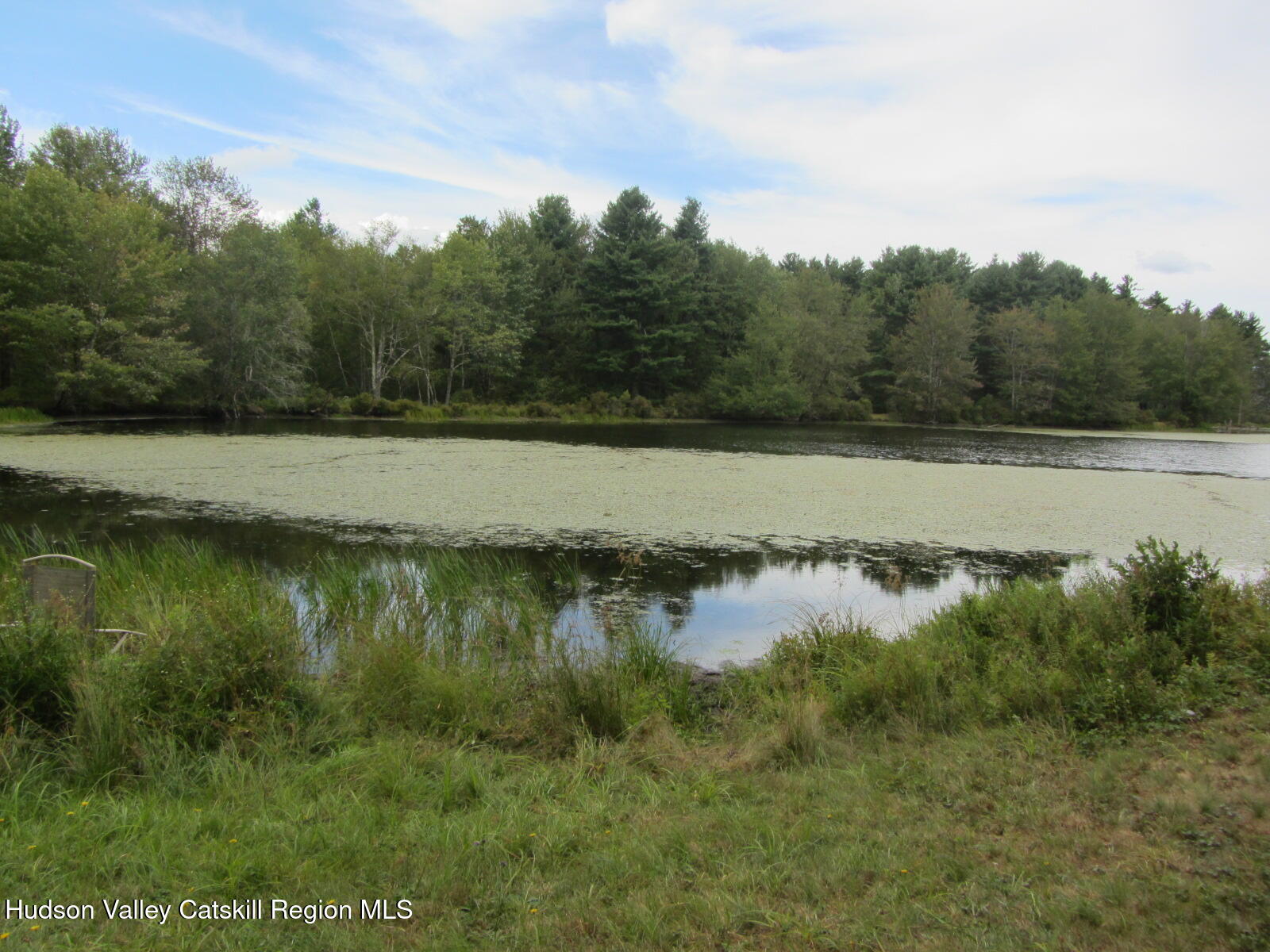 T/b/d Fraser Road Kiamesha Lake, NY 12751 - Photo 7 of 12 a view of a lake with trees in the background