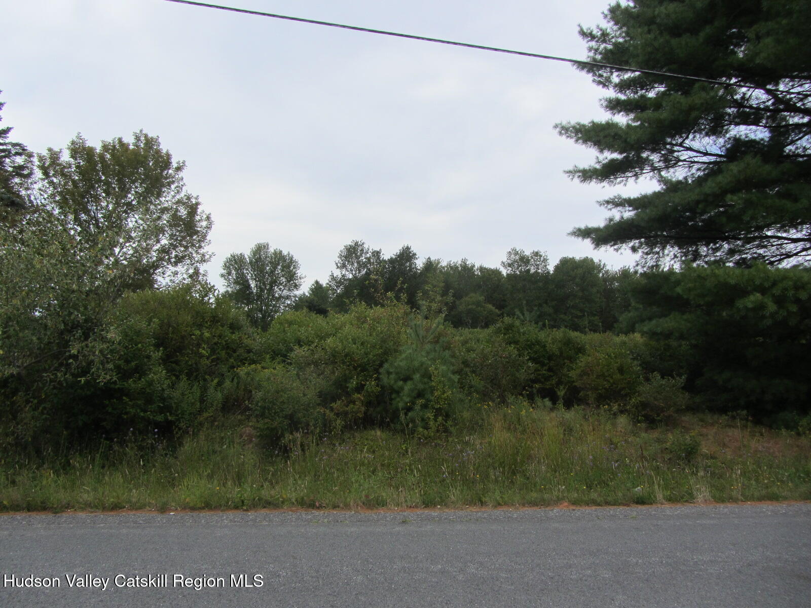 T/b/d Fraser Road Kiamesha Lake, NY 12751 - Photo 8 of 12 a view of a yard