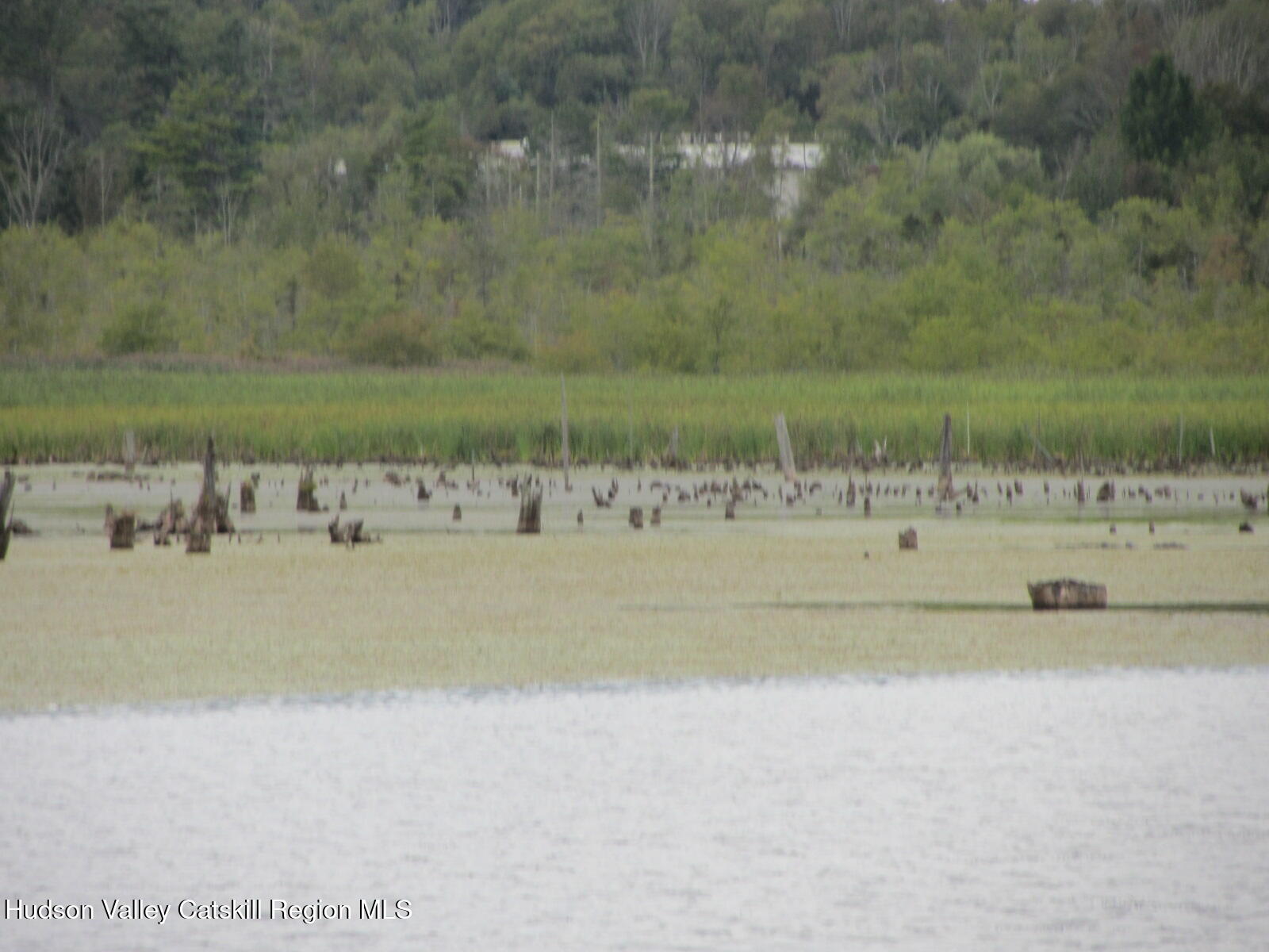T/b/d Fraser Road Kiamesha Lake, NY 12751 - Photo 9 of 12 a view of a field with trees in the background