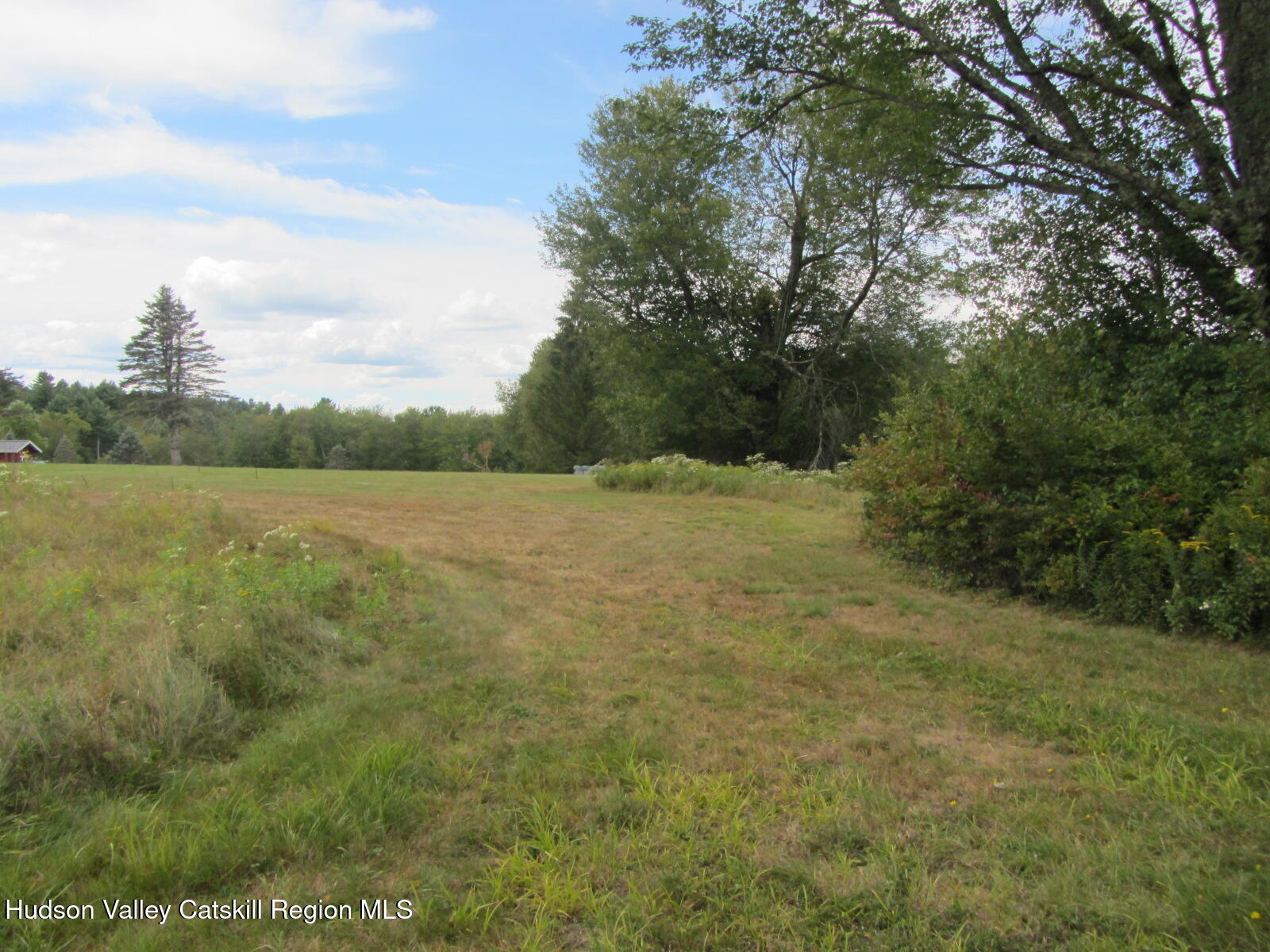 T/b/d Fraser Road Kiamesha Lake, NY 12751 - Photo 10 of 12 a view of a field with a tree