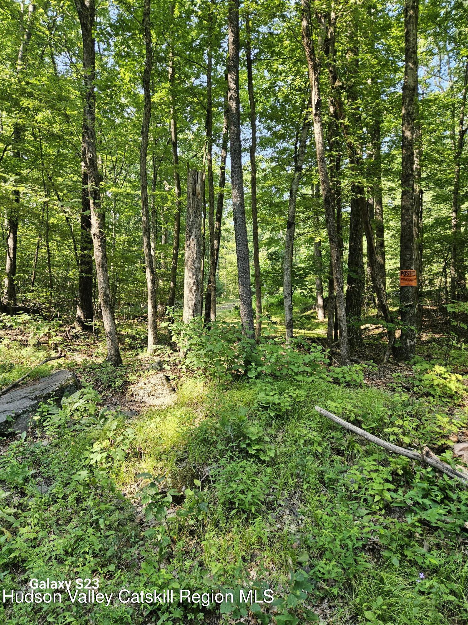 0 Hearts Content Road Catskill, NY 12414 - Photo 17 of 21 20260711_165106