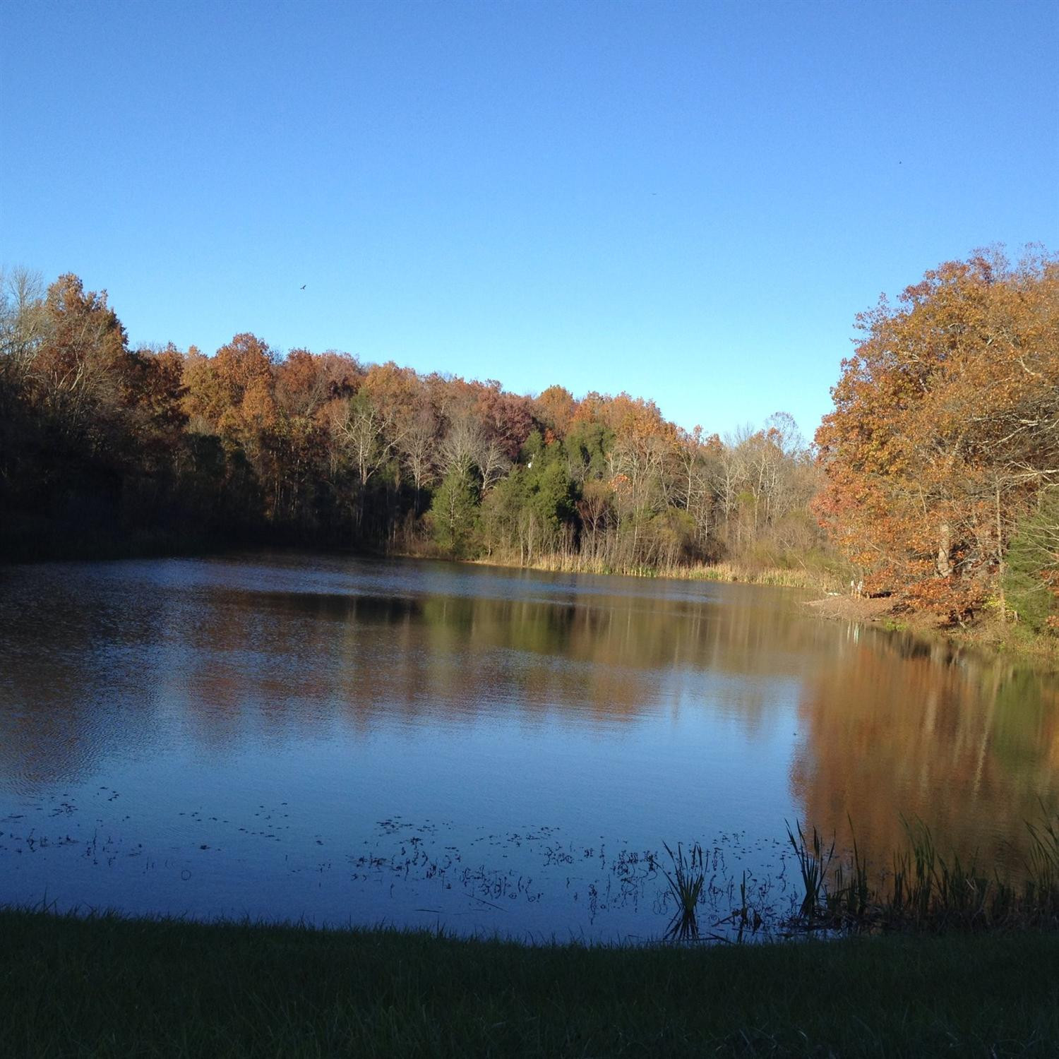 209 Locust Street Corinth, KY 41010 - Photo 7 of 8 Gallery Image 7