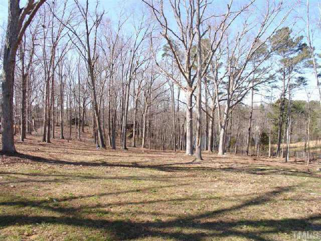 Large back yard