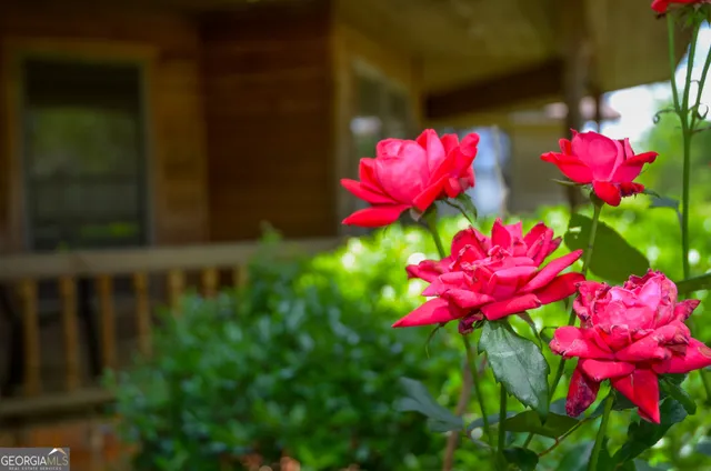 a view of a lake with a yard