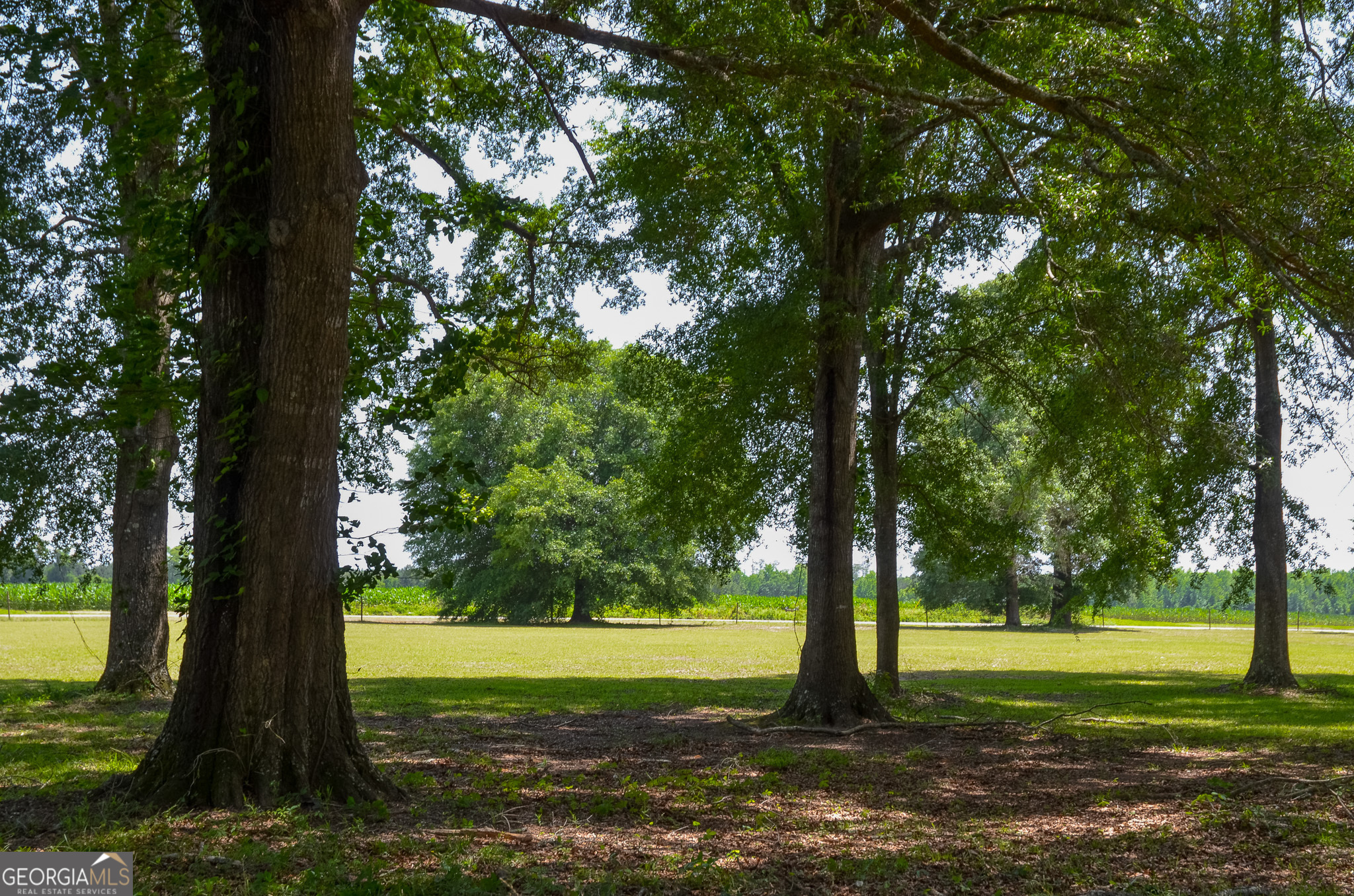 3947 Americus Highway Dawson, GA 39842 - Photo 18 of 21