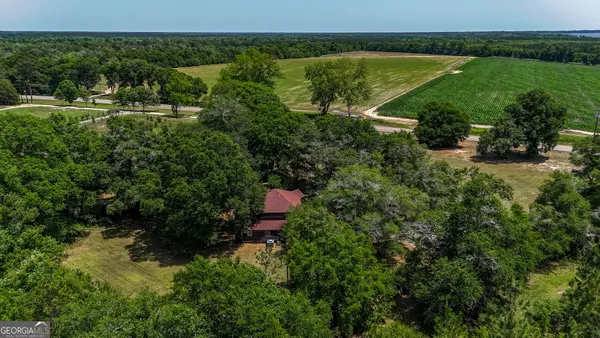 a view of yard with green space