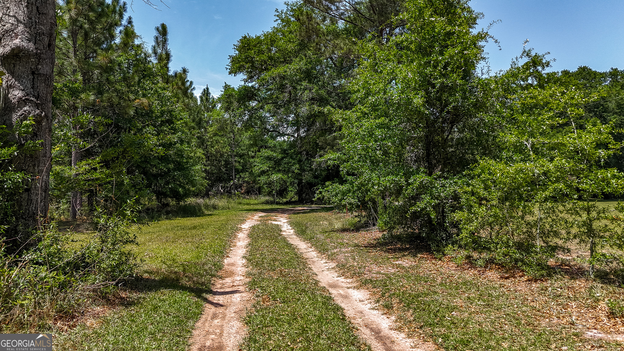 3947 Americus Highway Dawson, GA 39842 - Photo 21 of 21