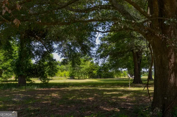 a view of a green field
