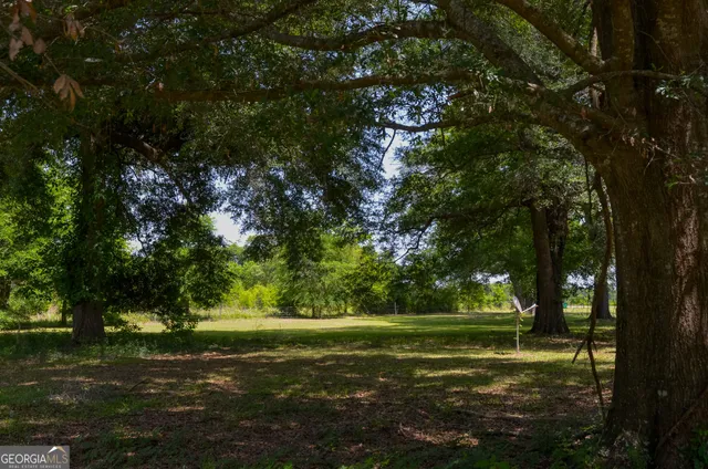 a view of a green field