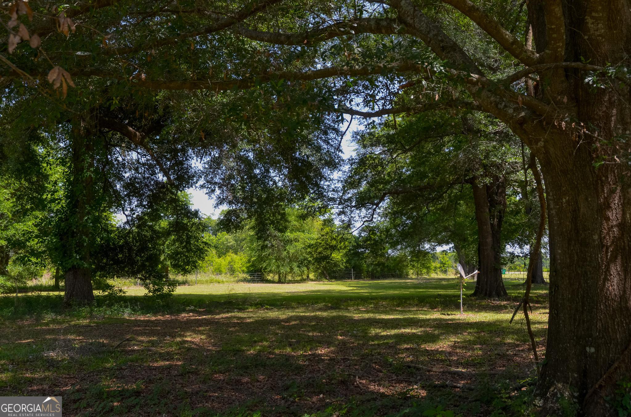 3947 Americus Highway Dawson, GA 39842 - Photo 3 of 21