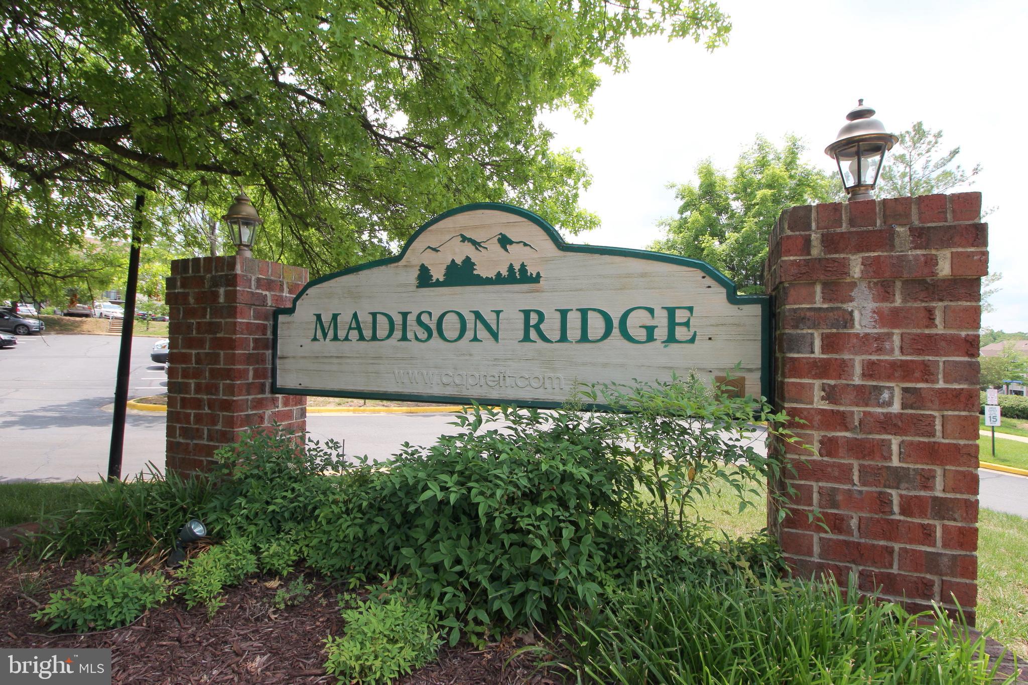 14805 Rydell Road, Unit 201 Centreville, VA 20121 - Photo 19 of 19 Gallery Image 19