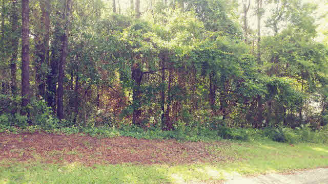 166 Fairway Drive Daphne, AL 36526 - Photo 1 of 1