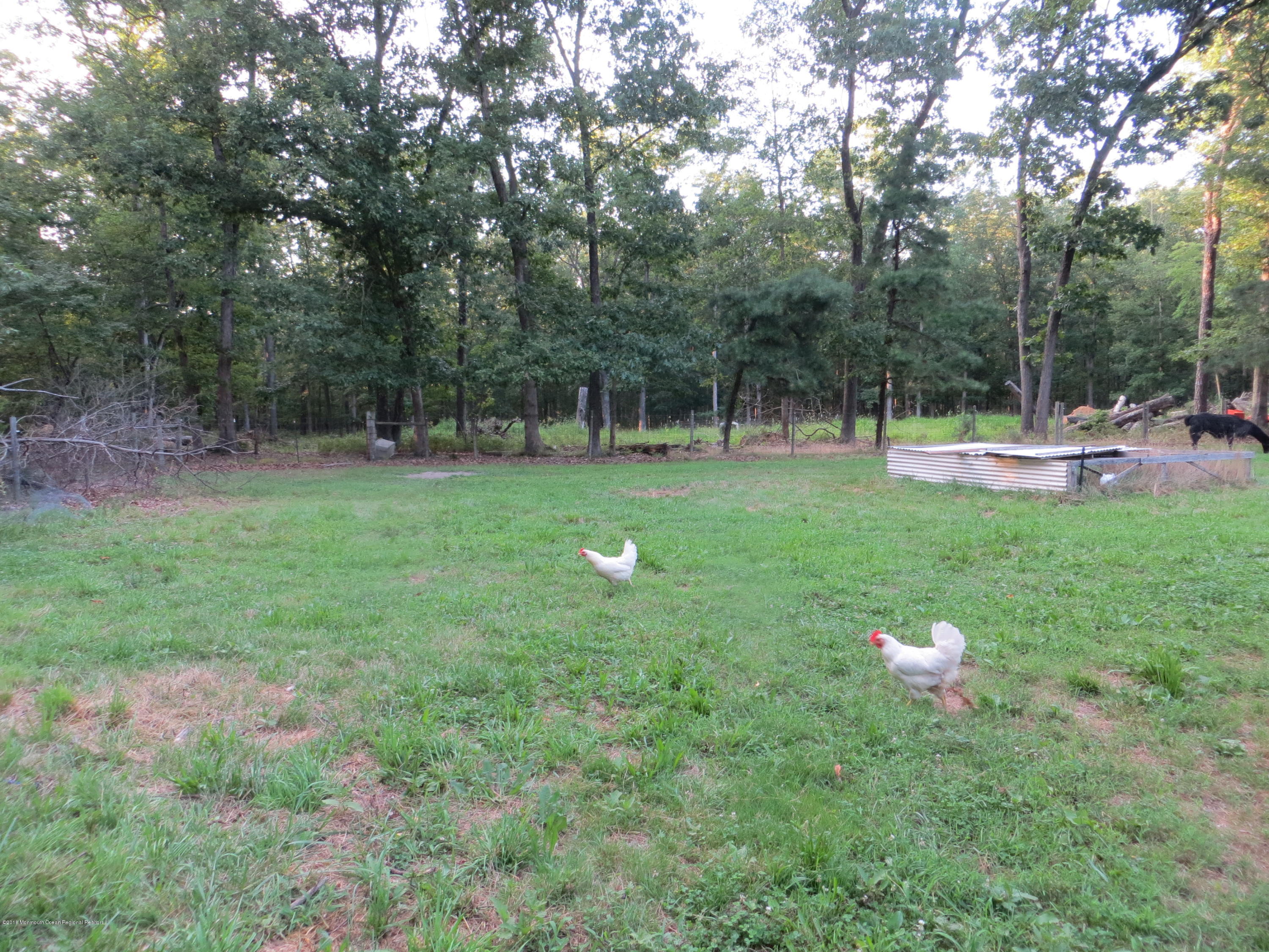 3189 Dutch Mill Road Newfield, NJ 08344 - Photo 25 of 29 IMG_2525