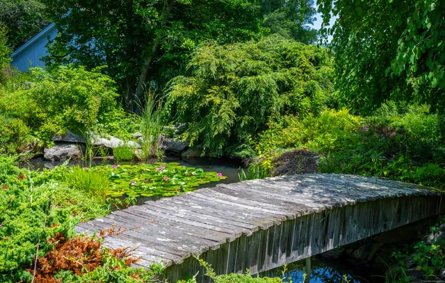 a view of a garden with a lake