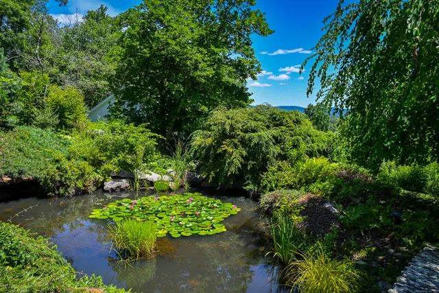 a backyard of a house with lots of green space