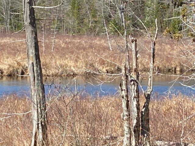 Lot 50 Lot Road Holden, ME 04429 - Photo 12 of 19 Mill Stream