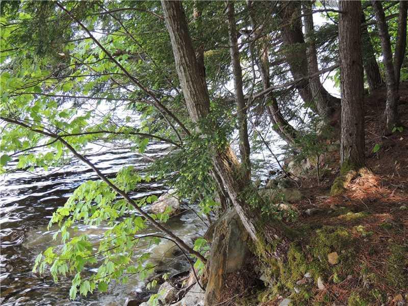 290 Hoffman Shr Road Palermo, ME 04354 - Photo 11 of 28 Land/Lot. Rugged shoreline