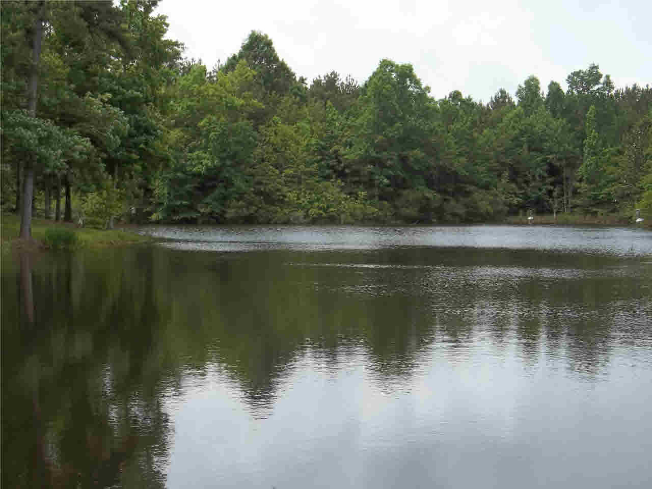 181 Bridge Road Florence, MS 39073 - Photo 17 of 23 Photo 17