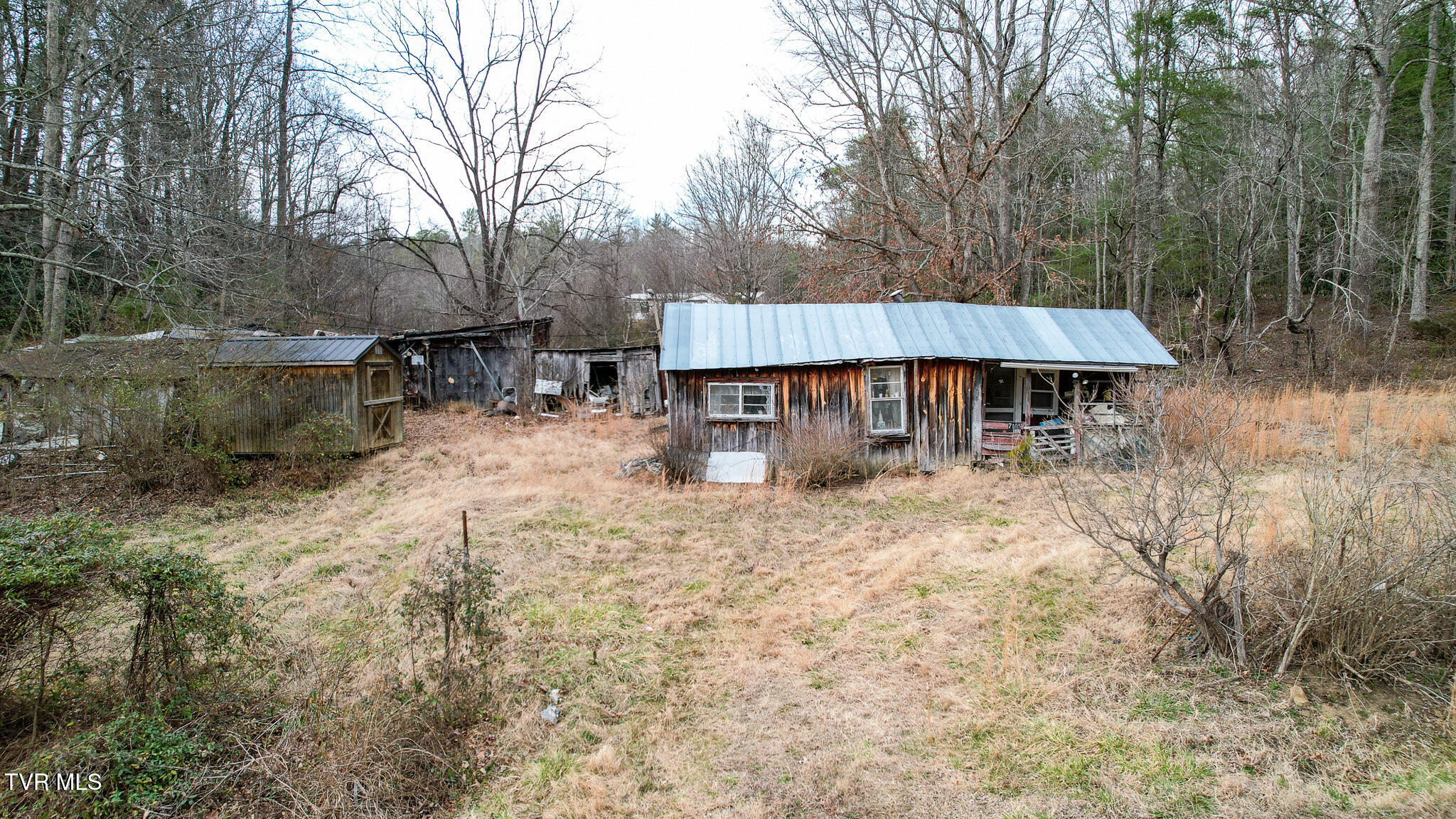 7105 Greystone Road Afton, TN 37616 - Photo 5 of 19 DJI_0118