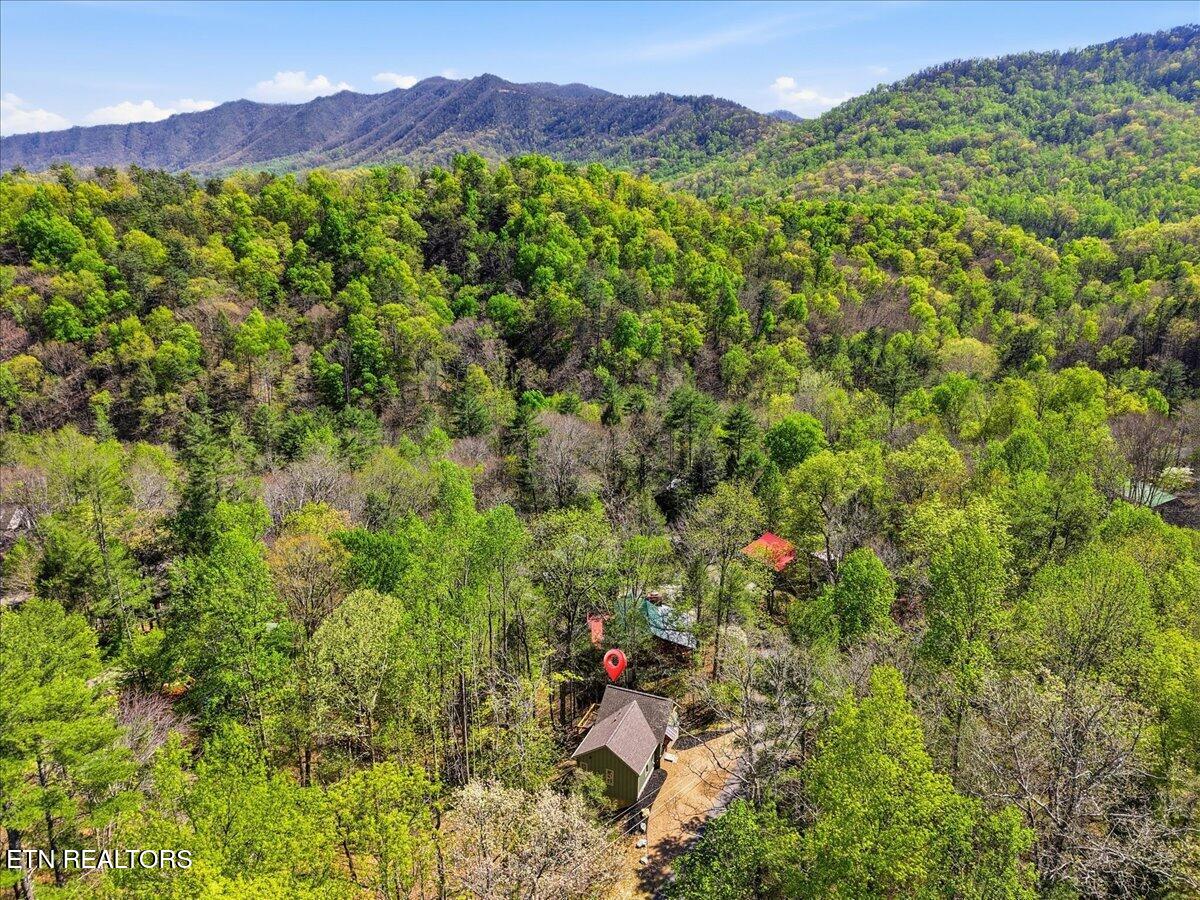 405 Laurel Trace Road Townsend, TN 37882 - Photo 25 of 28 27-008_DJI_20260410153554_0133_D