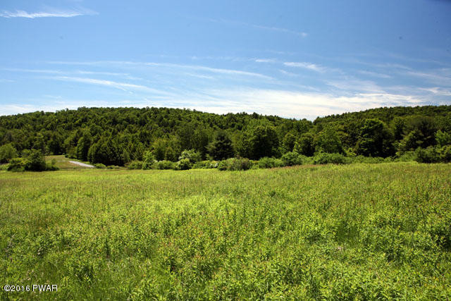 0 Jaketown Road Livingston Manor, NY 12758 - Photo 5 of 16