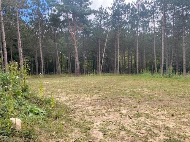 6208 Farrell Road Central Lake, MI 49622 - Photo 10 of 17