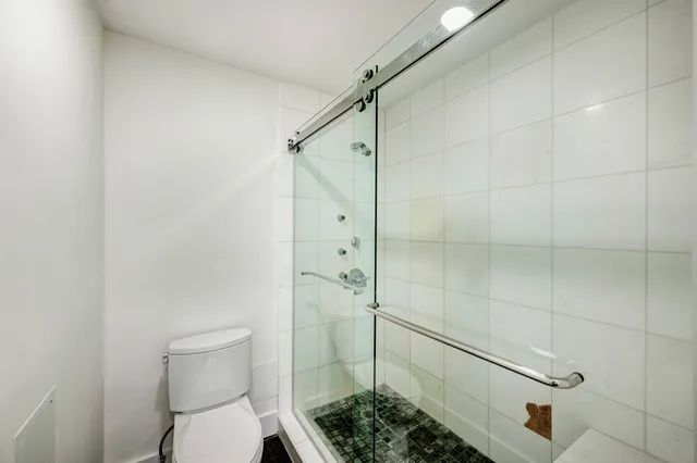a bathroom with a shower and toilet